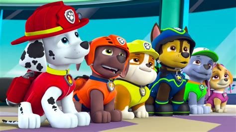 pawpatrol youtube|paw patrol all videos.